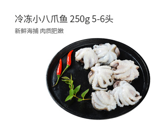 小八爪鱼