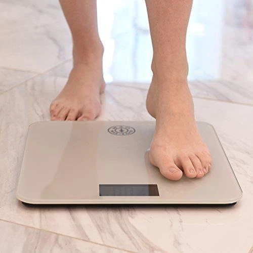 Gold’s Gym Digital Glass Body Weight Scale