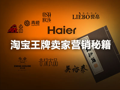 淘宝王牌卖家营销秘籍
