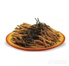 9周年庆-青海玉树冬虫夏草感恩回馈组20g（冬虫夏草20g 、虫草酒125ml *4瓶、赠虫草2克）