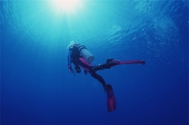 凯恩斯外海大堡礁海洋号三天两晚潜水冒险之旅(船宿)