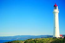 大洋路两天一晚中文深度游(彩色木头人+奥特威树顶漫步+十二门徒+伦敦桥)