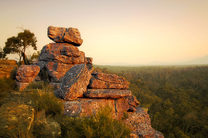 墨尔本至阿德莱德英文三日游(经大洋路-格兰屏国家公园)周三、周日发团