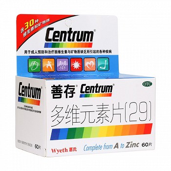 善存 多维元素片（29）  60片