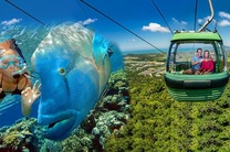 【你不来我不走】凯恩斯四天三晚上天入海双人精华套餐 (直升机大堡礁+热带雨林+中文接送机)