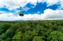 【必玩打卡】凯恩斯库兰达雨林精华自由行套票(缆车单程+火车单程+雨林公园)