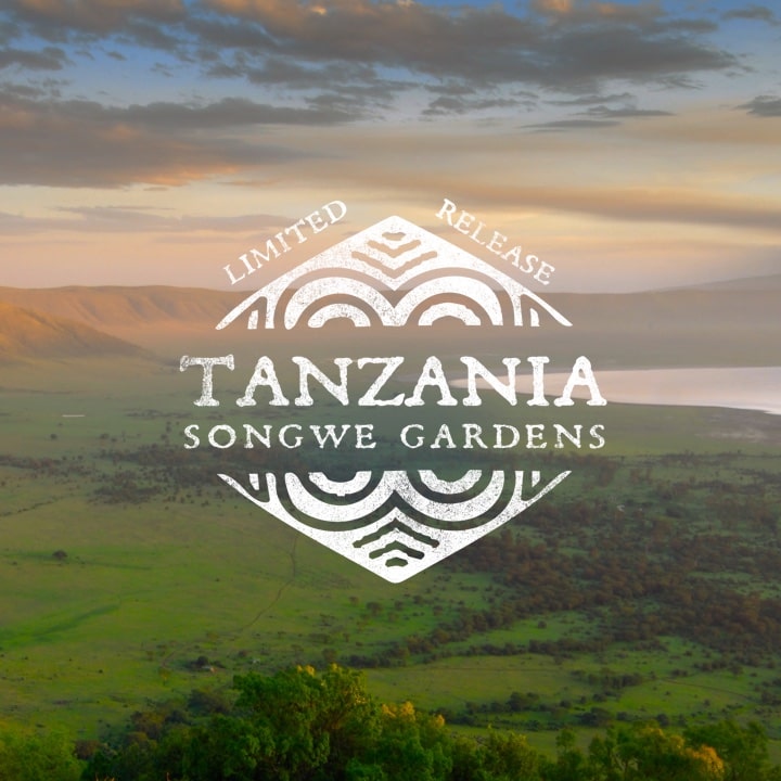 Tanzania Songwe Gardens Peet's coffee. Limited release