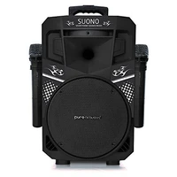 Pure Acoustics Wireless Portable Bluetooth Pa Audio Speaker - 2 Mics