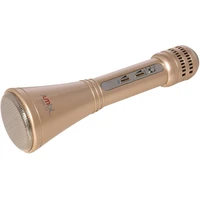 Karaoke Microphone w/ Bluetooth Speaker