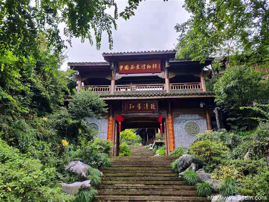 龙井茶价格-龙井茶