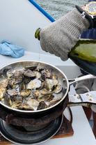 【海鲜盛筵】超满足海鲜美食诱惑一日游(野生鲍鱼+大龙虾+海胆)霍巴特往返