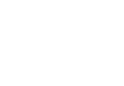 Franco Sarto Logo White_WEB.png