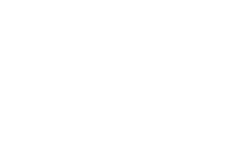 FunSocks.png