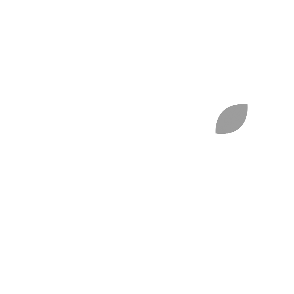 LEMON LOGO web.png