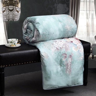 [品牌清仓】高端蚕丝被100%桑蚕丝春夏被芯加厚秋冬被子空调被