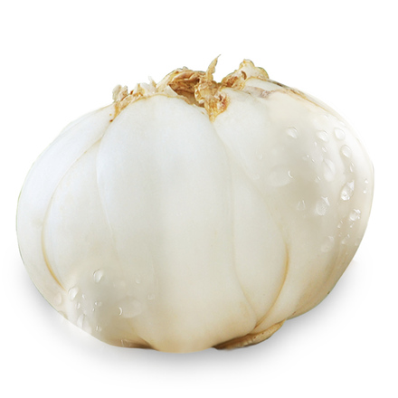 陇萃堂兰州鲜百合500g新鲜甜百合三头皇甘肃特产食用百合干