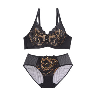 莎莲妮内衣女套装 聚拢 收副乳 防下垂文胸薄款调整刺绣胸罩17106