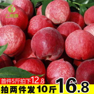农家现摘毛桃子新鲜水果现货5斤超大蜜脆桃应当季水蜜桃孕妇水果