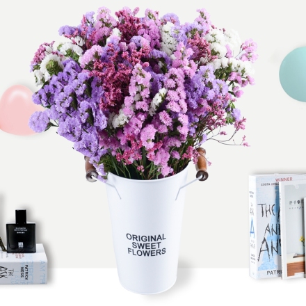 勿忘我干花花束满天星家居摆设装饰北欧小清新客厅摆件鲜花称斤卖