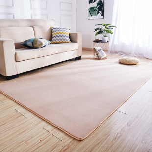 地毯卧室满铺可爱房间床边毯长毛客厅茶几飘窗榻榻米短绒地垫定制