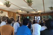 塔斯马尼亚恶魔保护区门票(近摇篮山 自驾推荐)