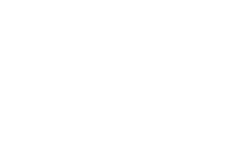 SketchersSport.png