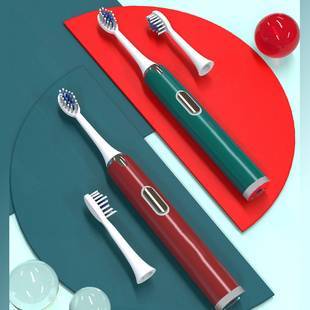 EverWhite电动牙刷成人全自动声波防水软毛男女士学生党情侣牙刷