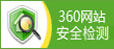 安全检测