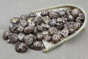 野生花菇500g岭南集团扶贫产品（全国包邮）