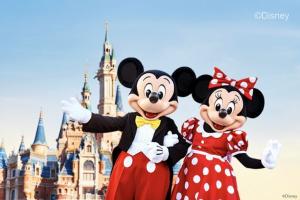 上海迪士尼乐园成人/儿童/长者【一日】标准票