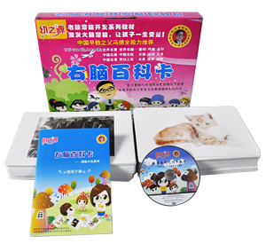 杜曼右脑百科卡，共220张卡片